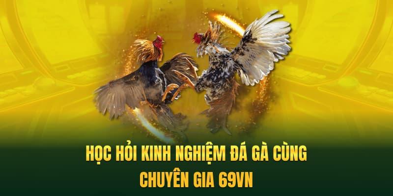 Học hỏi kinh nghiệm đá gà cùng chuyên gia 69VN